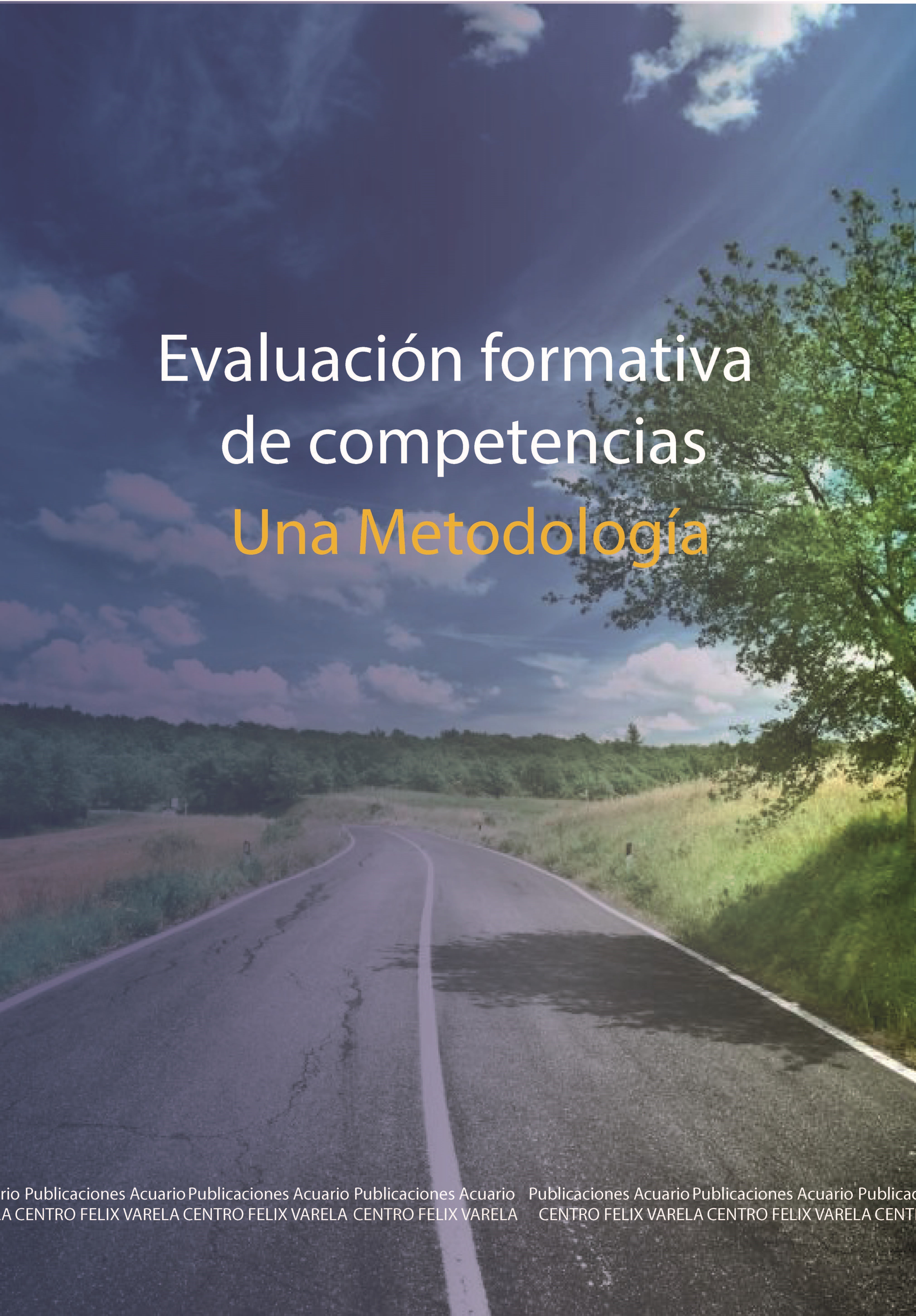 Evaluación formativa de competencias. Una metodología